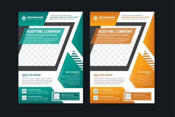 Auditing Company Vertical Flyer